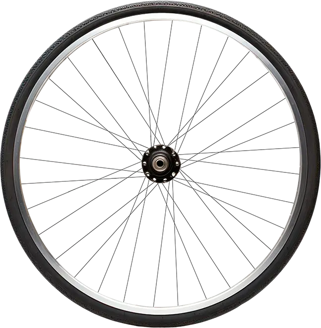 Bicycle wheel with black rim and white wall